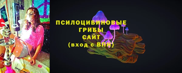 ГАЛЛЮЦИНОГЕННЫЕ ГРИБЫ Заводоуковск