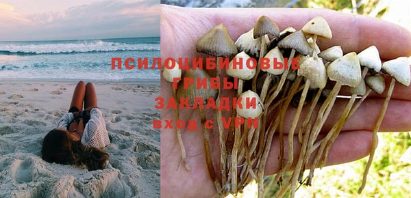 гидра Заволжье