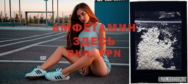 ГАЛЛЮЦИНОГЕННЫЕ ГРИБЫ Заводоуковск