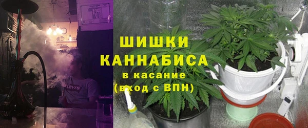 ГАЛЛЮЦИНОГЕННЫЕ ГРИБЫ Заводоуковск