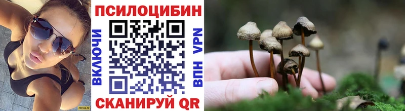 Галлюциногенные грибы Psilocybine cubensis  купить   Камень-на-Оби 