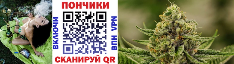 магазин    Камень-на-Оби  Канабис OG Kush 